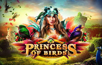 Princess of Birds